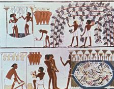 Fresco from the tomb of Nakht with wine harvest scene and bird hunting in a swamp, belonging to t…