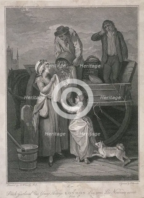 'Fresh Gathered Peas Young Hostings', Cries of London, c1795. Artist: Pietro Bonato
