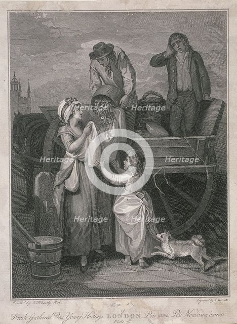 'Fresh Gathered Peas Young Hostings', Cries of London, c1795. Artist: Pietro Bonato
