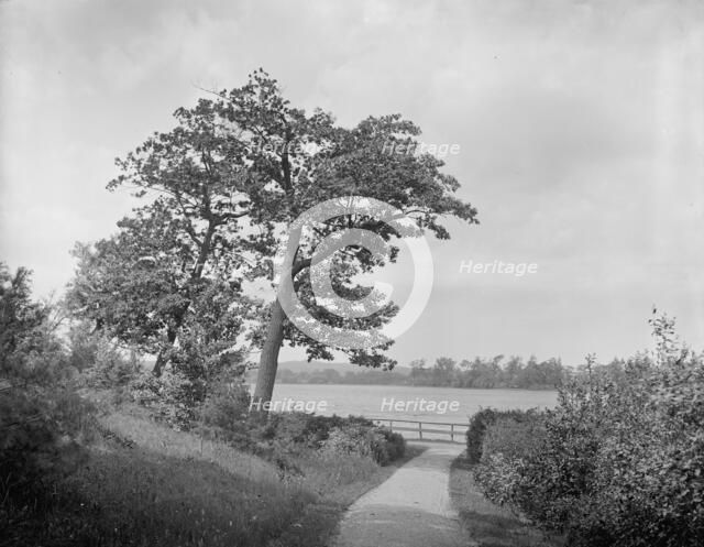 Fresh pond, Cambridge, Mass., between 1900 and 1920. Creator: Unknown.