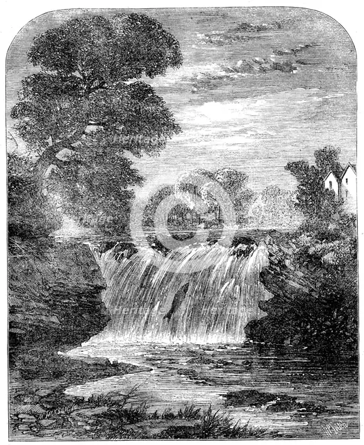 Freshwater fishes: angling in Scotland - salmon-leap on the River Allan, 1862.  Creator: Mason Jackson.