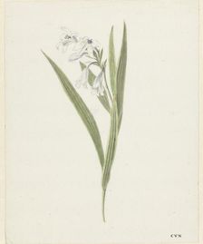 Fresia, 1741-1795. Creator: Cornelis van Noorde