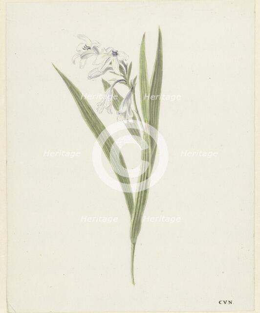 Fresia, 1741-1795. Creator: Cornelis van Noorde.