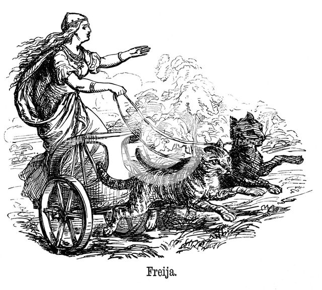 Freya (Frigg) goddess of love in Scandinavian mythology, driving her chariot pulled by cats. Artist: Unknown