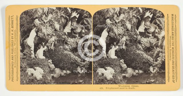 Frightened most to death, 1870/89. Creator: Henry Hamilton Bennett.