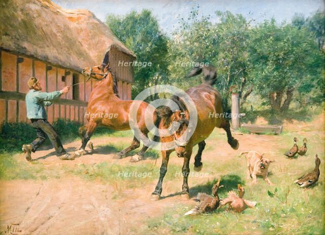 Frisky horses, 1865-1887. Creator: Hans Michael Therkildsen.