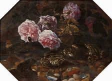 Frogs, Wild Roses, Shells and Butterflies, mid-late 17th century. Creator: Paolo Porpora