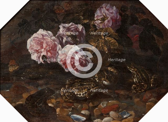 Frogs, Wild Roses, Shells and Butterflies, mid-late 17th century. Creator: Paolo Porpora.
