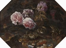 Frogs, Wild Roses, Shells and Butterflies, mid-late 17th century. Creator: Paolo Porpora