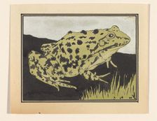 Frog, 1887-1924. Creator: Julie de Graag