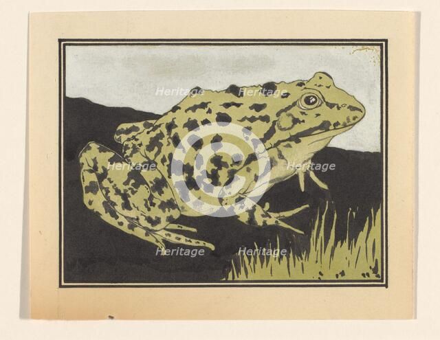 Frog, 1887-1924. Creator: Julie de Graag.