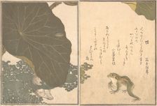 Frog (Kaeru); Gold Beetle (Kogane mushi)..., 1788. Creator: Kitagawa Utamaro
