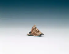 Frog netsuke, late Edo period, Japan, early 19th century. Creator: Unknown