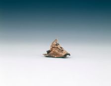 Frog netsuke, late Edo period, Japan, early 19th century. Creator: Unknown