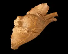 Frog on Taro Leaf, 1782. Creator: Seiyodo Tomiharu