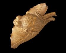 Frog on Taro Leaf, 1782. Creator: Seiyodo Tomiharu