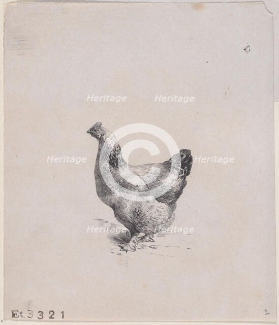 From The Henhouse, 1858. Creator: Jacques-Adrien Lavieille.