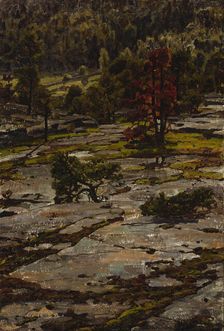 From the Hills of Knutsboda, 1886-1911. Creator: Victor Westerholm