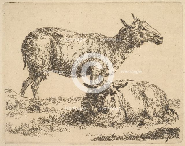 from The Set of Sheep. Creator: Nicolaes Berchem.