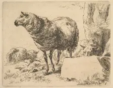 from The Set of Sheep. Creator: Nicolaes Berchem