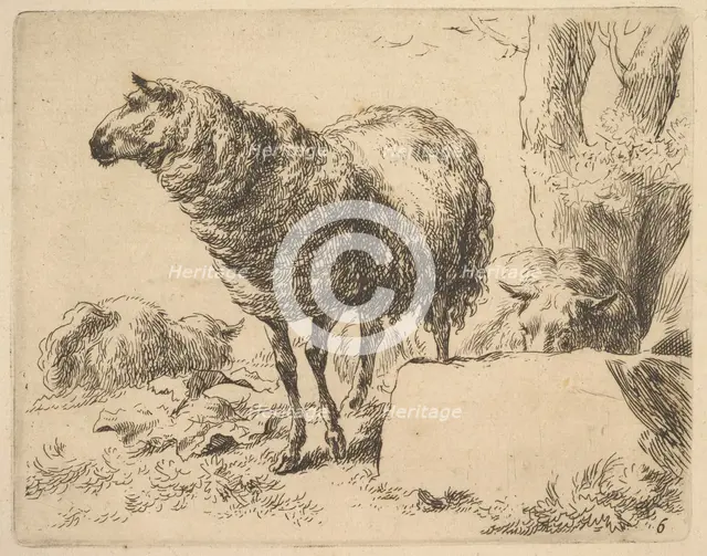 from The Set of Sheep. Creator: Nicolaes Berchem.