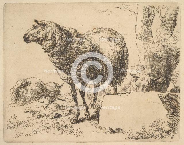 from The Set of Sheep. Creator: Nicolaes Berchem.