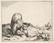 from The Set of The Bears, ca. 1664. Creator: Marcus de Bye