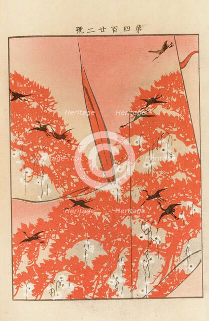 From the Series Yachigusa, 1902-1903. Creator: Seiko, Ueno (active 1890s-1900s).