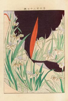 From the Series Yachigusa, 1902-1903. Creator: Seiko, Ueno (active 1890s-1900s)