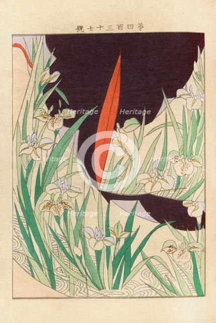 From the Series Yachigusa, 1902-1903. Creator: Seiko, Ueno (active 1890s-1900s).