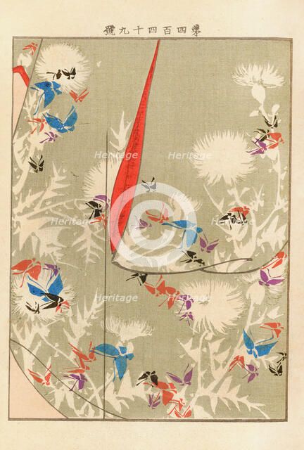 From the Series Yachigusa, 1902-1903. Creator: Seiko, Ueno (active 1890s-1900s).