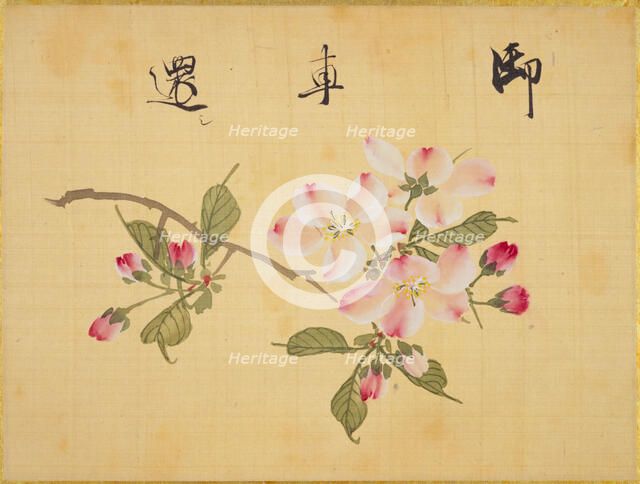 From the Sketch Book of Sakura (Cherry Blossoms), Between 1830 and 1853. Creator: Sakamoto, Konen (1800-1853).