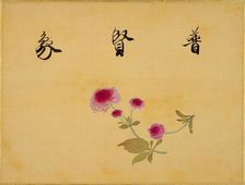 From the Sketch Book of Sakura (Cherry Blossoms), Between 1830 and 1853. Creator: Sakamoto, Konen (1800-1853)