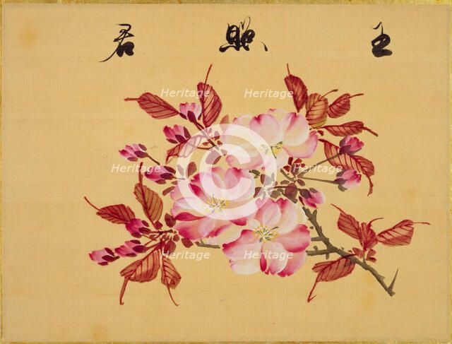 From the Sketch Book of Sakura (Cherry Blossoms), Between 1830 and 1853. Creator: Sakamoto, Konen (1800-1853).