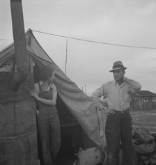 From Wyoming and Missouri eight years...working in lemons..., near Strathmore, CA, 1939. Creator: Dorothea Lange