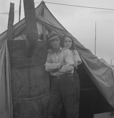 From Wyoming and Missouri eight years...working in lemons..., near Strathmore, CA, 1939. Creator: Dorothea Lange