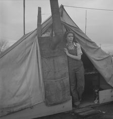 From Wyoming and Missouri eight years...working in lemons..., near Strathmore, CA, 1939. Creator: Dorothea Lange