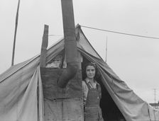 From Wyoming and Missouri eight years...working in lemons..., near Strathmore, CA, 1939. Creator: Dorothea Lange
