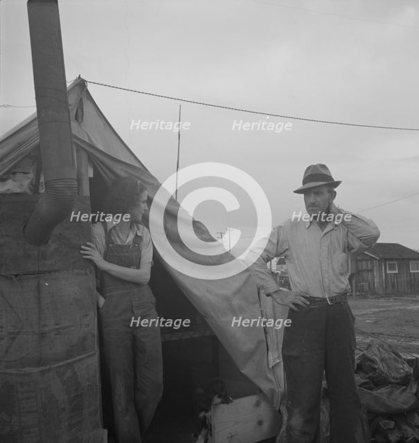 From Wyoming and Missouri eight years...working in lemons..., near Strathmore, CA, 1939. Creator: Dorothea Lange.