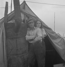 From Wyoming and Missouri eight years...working in lemons..., near Strathmore, CA, 1939. Creator: Dorothea Lange