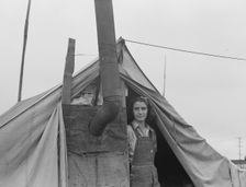 From Wyoming and Missouri eight years...working in lemons..., near Strathmore, CA, 1939. Creator: Dorothea Lange