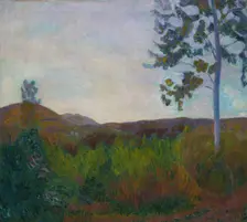 From Gausdal, 1910. Creator: Thorvald Erichsen