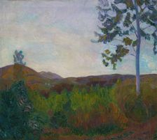 From Gausdal, 1910. Creator: Thorvald Erichsen