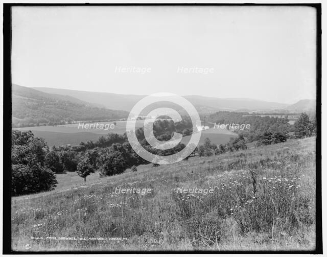 From Shawnee Hill, Marshall Creek, Pa., between 1890 and 1901. Creator: Unknown.