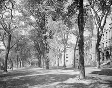 Front campus, Brown University, Providence, R.I., c1906. Creator: Unknown