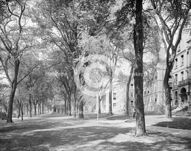Front campus, Brown University, Providence, R.I., c1906. Creator: Unknown.