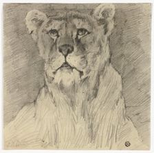Front View of Seated Lioness, n.d. Creator: Frederik William Zurcher
