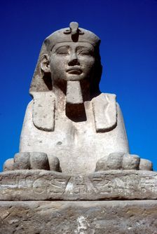Frontal view of sphinx from the avenue of Sphinxes, Temple sacred to Amun Mut & Khons, Luxor, Egypt