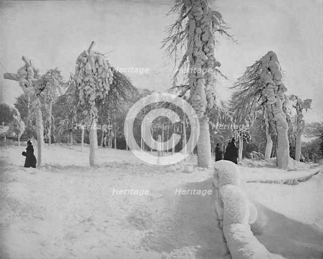 'Frost Work in Prospect Park, Niagara', c1897. Creator: Unknown.