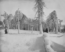 Frost Work in Prospect Park, Niagara c1897. Creator: Unknown